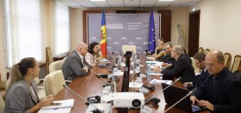 Noul Cod electoral, discutat la Parlament cu reprezentanții Comisiei de la Veneția