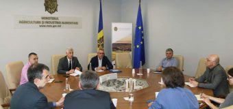 Reprezentanții Băncii Mondiale – la discuții la MAIA, despre dezvoltarea sectorului zootehnic