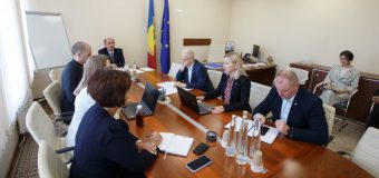 Procedura de autorizare a lucrărilor de întreținere a vegetației forestiere din spațiile verzi ale localităților urbane și rurale ar putea fi simplificată