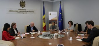 Consultanță franceză în domeniul irigării. Un consultat va veni în R. Moldova pentru a elabora un studiu pe țară