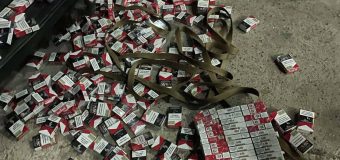 Peste 2800 pachete de țigări tăinuite în tavanul unui autocar, depistate la postul vamal Costești