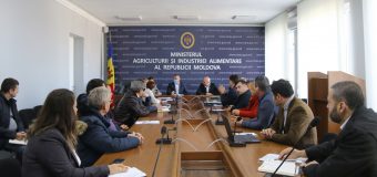 Promovarea și dezvoltarea agriculturii ecologice discutate cu reprezentanții de ramură