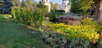 (FOTO) Scuarul Catedralei Mitropolitane din centrul Capitalei se află în proces de reabilitare