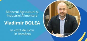 Vladimir Bolea se duce în România