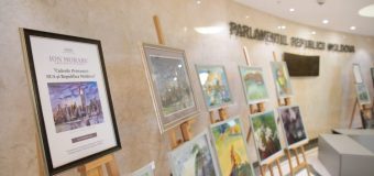Parlamentul găzduiește expoziția de artă plastică „Culorile prieteniei: SUA și Republica Moldova”, dedicată celor 30 de ani de la stabilirea relațiilor diplomatice