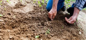 Noi măsuri pentru agricultori propuse CSE