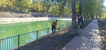 Lucrările de modernizare a parcului din Taraclia, proiect inițiat de Ilan Șor, au fost efectuate în proporție de aproape 70%