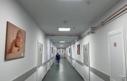 Primăria Capitalei face consultări privind Programul municipal de fertilizare in vitro