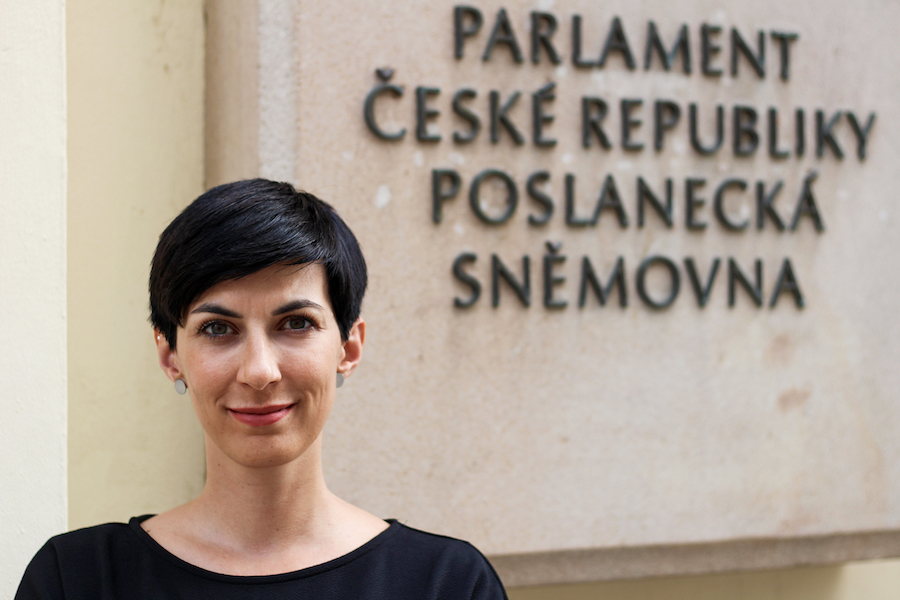 Președintele Camerei Deputaților a Parlamentului Cehiei: Moldova este așteptată în UE