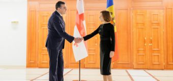 Președintele țării s-a întâlnit cu ministrul de externe al Georgiei