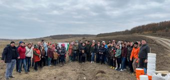 Peste 276 mii puieți au fost plantați de Ziua Naționașă de Înverzire a Plaiului