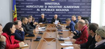 La MAIA s-a discutat despre acvacultură