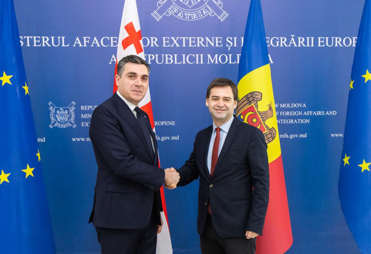 Nicu Popescu i-a urat bun venit la Chișinău ministrului de externe al Georgiei. Despre ce au discutat