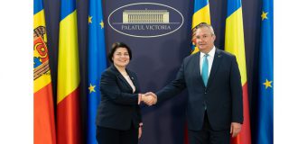 Natalia Gavrilița și omologul său român au discutat despre acțiunile ce pot fi întreprinse pentru a spori securitatea energetică a R. Moldova
