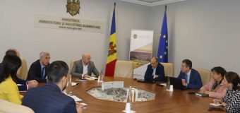 Conducerea MAIA la discuții cu Biroul de Statistică. S-a încercat căutarea unor soluții pentru colectarea datelor statistice