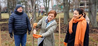 (FOTO) CEC a plantat „Aleea Democrației”