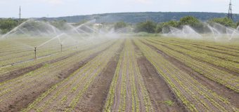USAID Moldova oferă suport financiar pentru producerea și utilizarea energiei regenerabile necesare la irigare