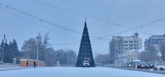 Bradul de Crăciun din centrul Capitalei va fi inaugurat sâmbătă