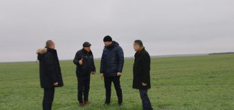 (FOTO) Ministrul Bolea a vizitat 2 întreprinderi agricole din Căușeni