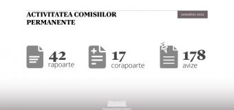 Activitatea comisiilor parlamentare permanente în luna noiembrie, în cifre
