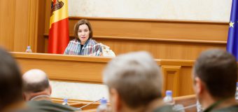 Maia Sandu a discutat cu silvicultorii despre avansarea Programului naţional de împădurire