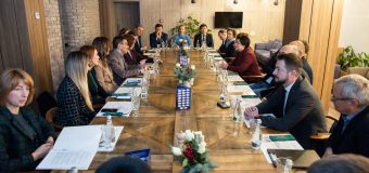 Natalia Gavrilița a avut discuții cu Asociația Investitorilor Străini despre posibilitatea îmbunătățirii mediului de afaceri