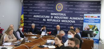 MAIA își propune să adopte mai multe politici pentru a armoniza cadrul legal cu cel european