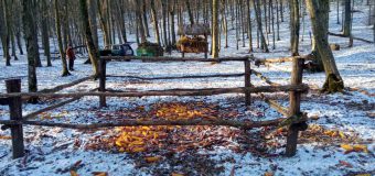 „Moldsilva” are grijă de animalele sălbatice pe timp de iarnă