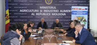 Vectorii de dezvoltare a sectorului de producere a laptelui discutați cu reprezentanții sectorului