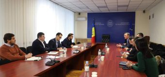 Ministrul Alaiba a discutat cu reprezentanții Industriei automotive