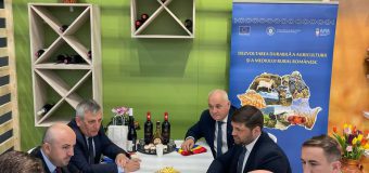 Vladimir Bolea: „Relațiile economice moldo – române sunt în ascensiune”