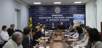 MAIA vrea să digitalizeze agricultura