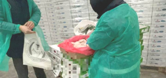 Rezultatele perchezițiilor de ieri ale PCCOCS la patru companii importatoare de carne