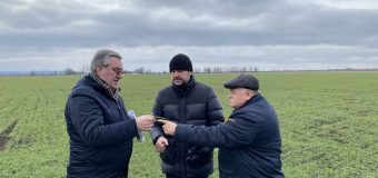 Vladimir Bolea a efectuat o vizită de lucru la Băcioi
