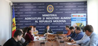 La MAIA a fost discutată problema majorării prețurilor la ambalajele din sticlă pentru sectorul vitivinicol