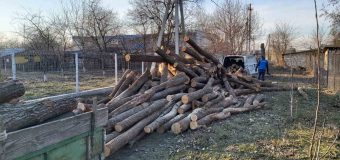 Peste 50 gospodării au primit circa 70 metri cubi de lemn procurat din România