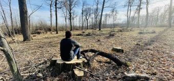 Ruslan Codreanu: 145 mii hectare de pământ împădurite în 10 ani. Un lucru nerealizabil…