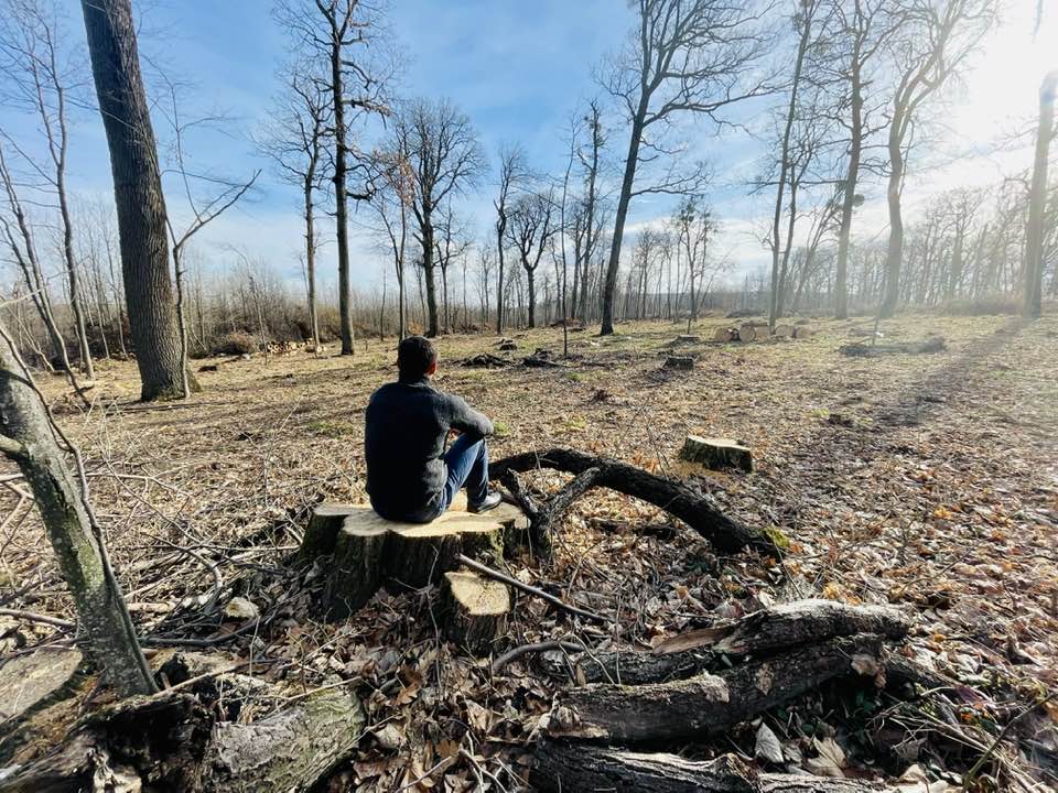 Ruslan Codreanu: 145 mii hectare de pământ împădurite în 10 ani. Un lucru nerealizabil…