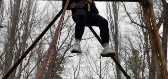 Un bărbat a urcat într-un pilon electric pentru a se proteja de o haită de câini