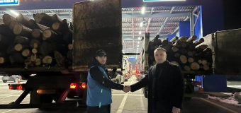 Alte 16 camioane cu lemn din România au ajuns în țara noastră