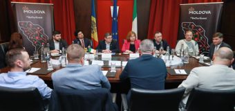 Igor Grosu, în discuție cu oamenii de afaceri originari din Republica Moldova,  care au creat și au dezvoltat afaceri în Irlanda