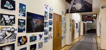 (FOTO) Expoziție pe holul Primăriei Capitalei „Copiii pentru pace”