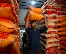 Prețurile mondiale ale alimentelor au continuat să scadă și în luna ianuarie
