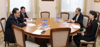 Marian Lupu a povestit despre progresele CCRM șefei Secției Cooperare pentru Dezvoltare a Ambasadei Suediei