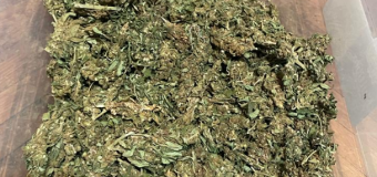 Captură de 3 kg de marijuana în valoare de circa 650 mii lei. Gruparea infracțională – destructurată