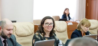 Scopuri: În următorii 10 ani suprafețele de teren împădurite vor fi extinse cu circa 150 mii hectare