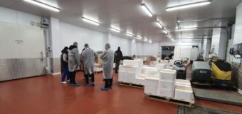 Agenți economici, care desfășurau activități ilegale de comerț cu pește – verificați de oamenii legii