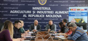 Producătorii de pomușoare au discutat despre problemele din sector cu ministrul Bolea