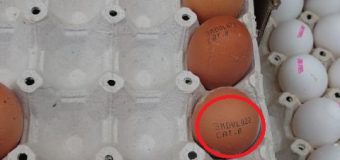Un lot de ouă, vândute într-un magazin din sectorul Ciocana din Capitală, depistate de ANSA cu încălcări sanitar veterinare