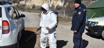 Un caz de pestă porcină africană – depistat într-o localitate din Criuleni. Autoritățile s-au mobilizat pentru a nu permite răspândirea virusului